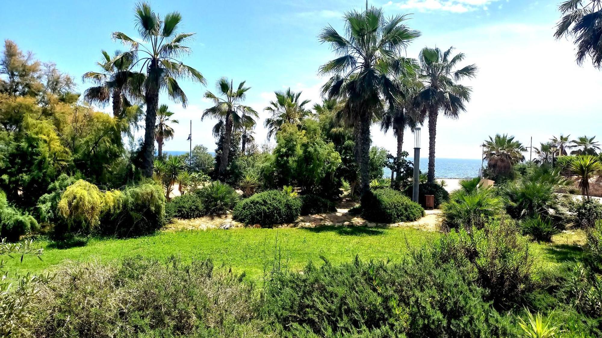 Punta Prima Torrevieja Fantazy01 Διαμέρισμα Εξωτερικό φωτογραφία