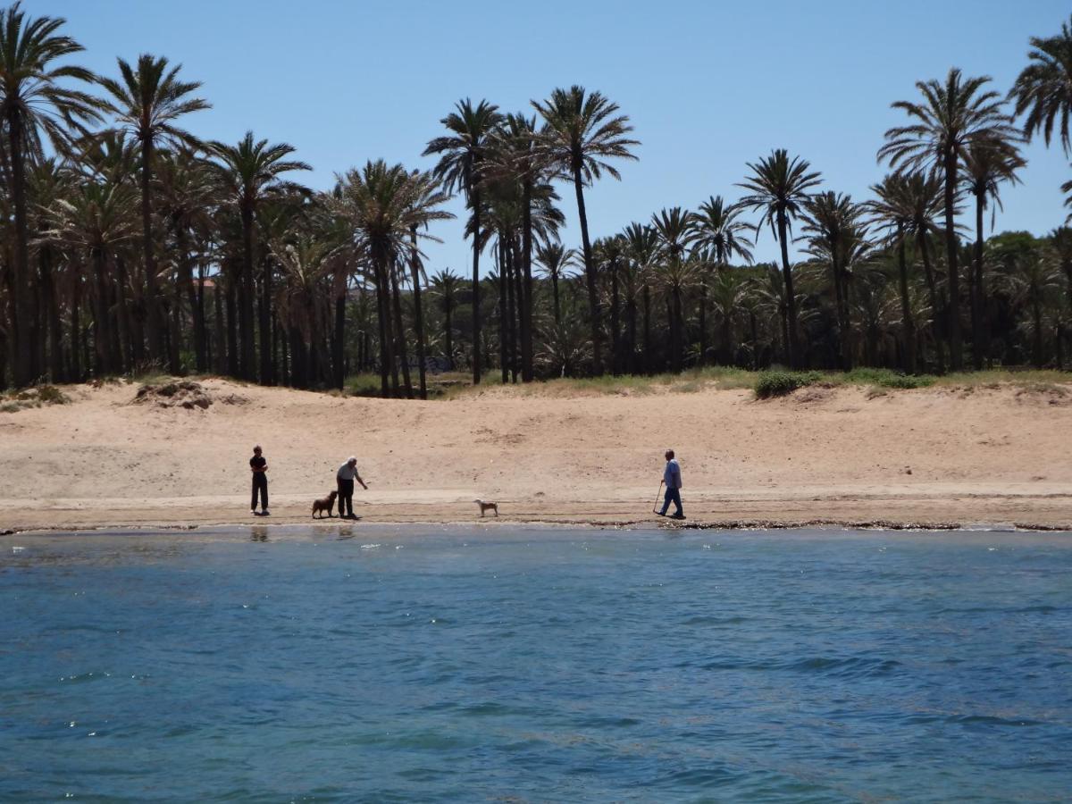 Punta Prima Torrevieja Fantazy01 Διαμέρισμα Εξωτερικό φωτογραφία